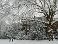 Snow, Greenwich Park P1070369